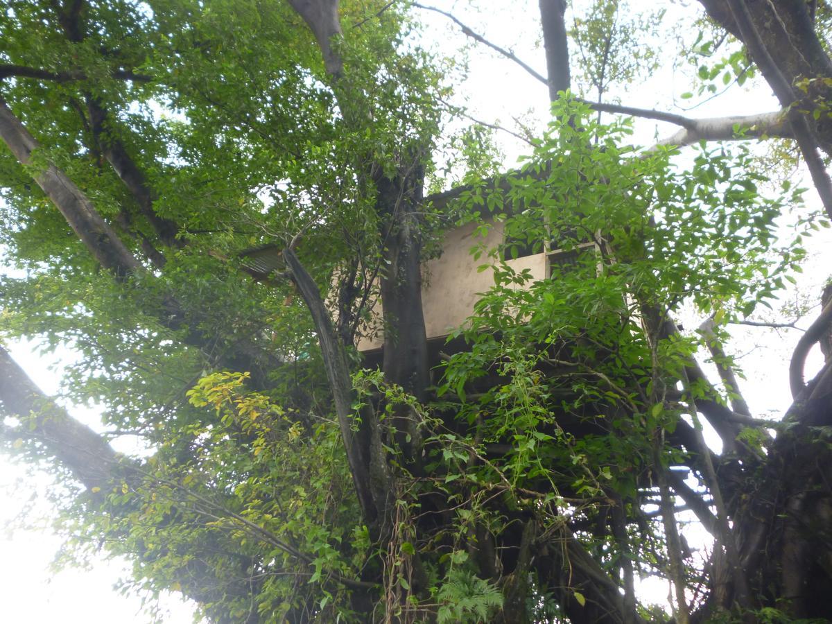 Castle Tree House And Bungalow White Sands Dış mekan fotoğraf