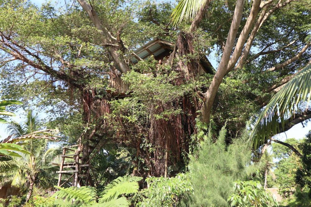 Castle Tree House And Bungalow White Sands Dış mekan fotoğraf
