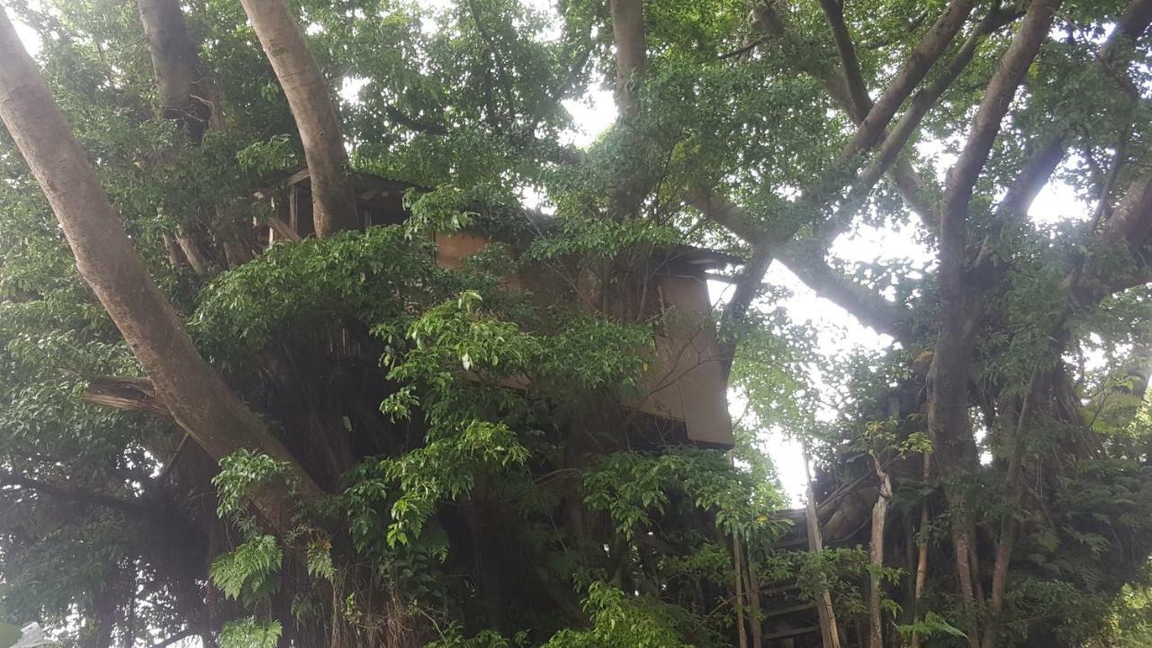 Castle Tree House And Bungalow White Sands Dış mekan fotoğraf